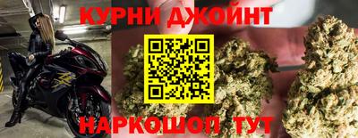 ПСИЛОЦИБИНОВЫЕ ГРИБЫ Гусев