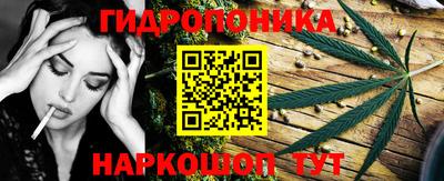 ПСИЛОЦИБИНОВЫЕ ГРИБЫ Гусев