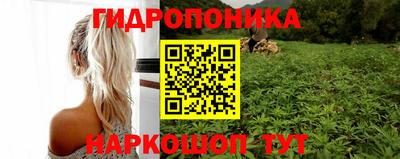 марки nbome Гусь-Хрустальный