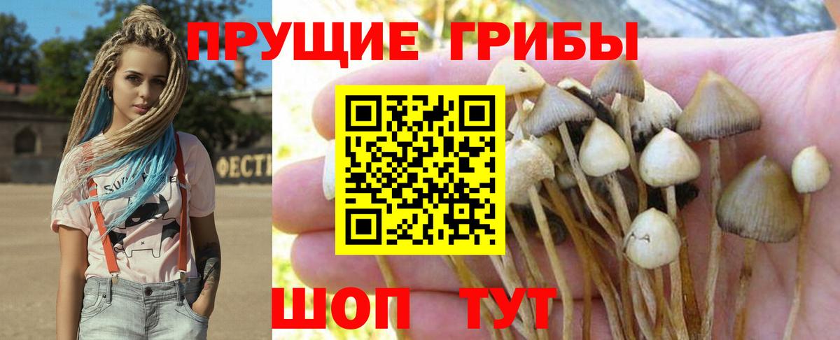 Новоуральск  Псилоцибиновые грибы MAGIC MUSHROOMS  Псилоцибиновые грибы мицелий  Вход с VPN 