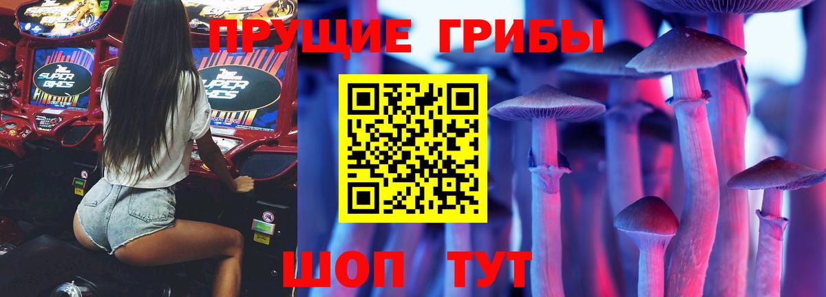 Псилоцибиновые грибы Psilocybine cubensis Новоуральск